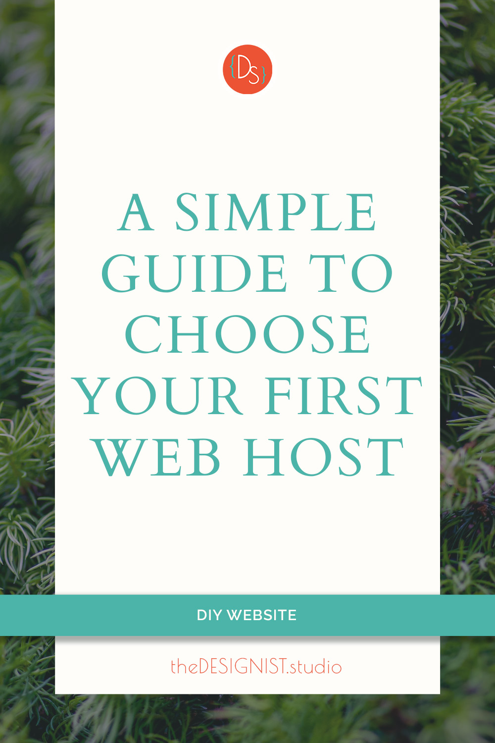 How to choose web hosting