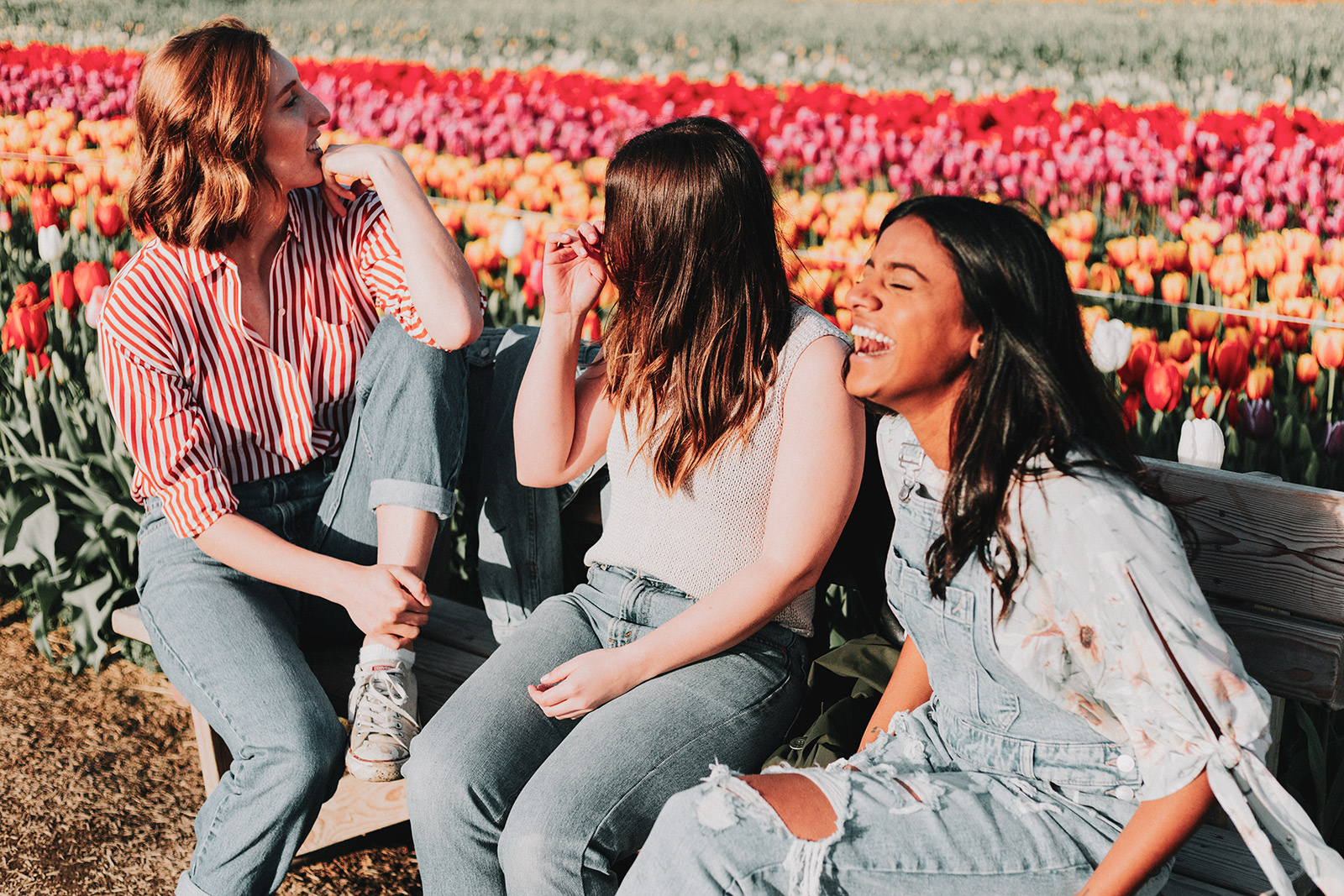 Three women talking and laughing. They are sitting on a bench in front of a tulip field.